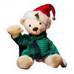 Elfin, the teddy bear