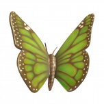 Big Green Butterfly