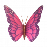 Big Pink Butterfly