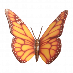 Big Orange Butterfly