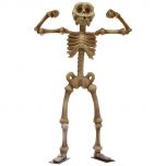 Skeleton 3.5 m "Flex"