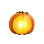 Plain Pumpkin with Light