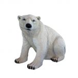 Polar Bear, sitting