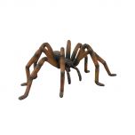 Recluse Spider (Brown)