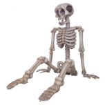 Skeleton 4M