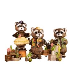 Raccoon Summer Band