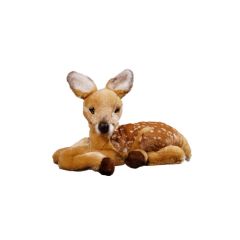 Fawn, lying