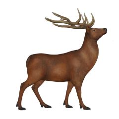 Walking Stag