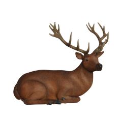 Laying Stag
