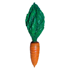 Carrot