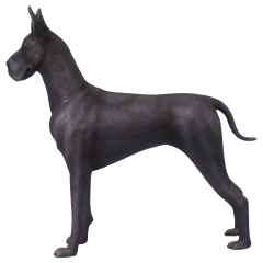 Great Dane