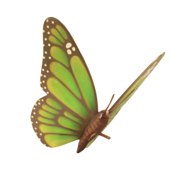 Big Green Butterfly