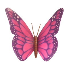Big Pink Butterfly