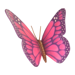 Big Pink Butterfly