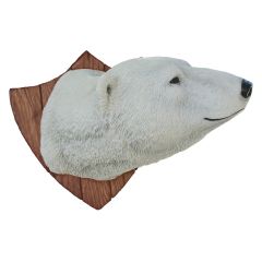 Polar Bear Trophy head