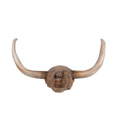 Bull Skull