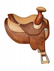 Horse Saddle