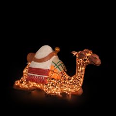 Nativity Camel