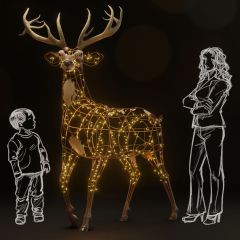 Stag