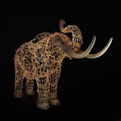 Jumbo Elephant