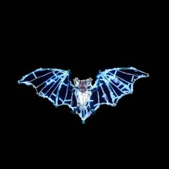 Bat (Turquoise)
