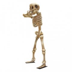 Skeleton 3,5 m "SPNE"