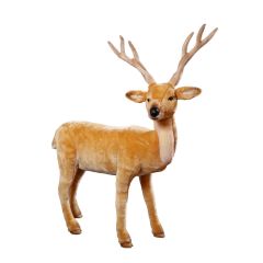 Buck deer, standing