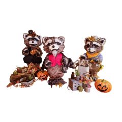 Raccoon Halloween Band