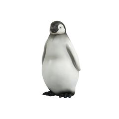 Baby Penguin