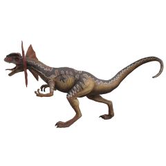 Brown Dilophosaurus 2