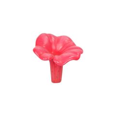 Chanterelle Mushroom 30 cm (Pink)