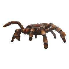 Giant Tarantula