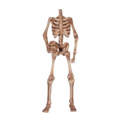 Skeleton 180 "headless"