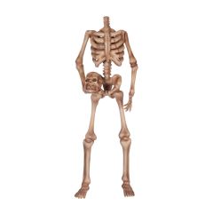 Skeleton 180 "Headless"