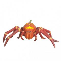 Red Pumpkin Tarantula