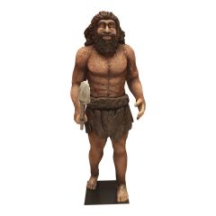 Neanderthal statue of a man with speer made from fiberglass. 