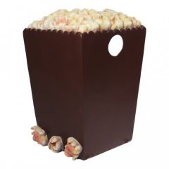 Popcorn Photo op