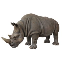 Rhinoceros