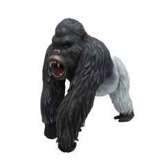 Silver Back Gorilla