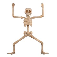 Skeleton Squating 7ft