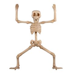Skeleton Squating 7ft