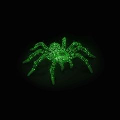 Spider (Green)