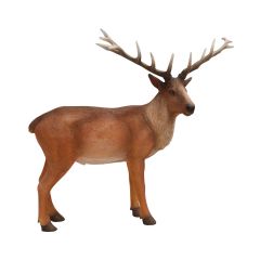 Stag