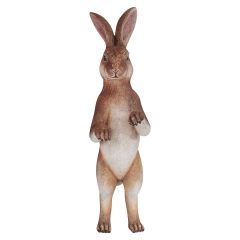 Rabbit, Standing