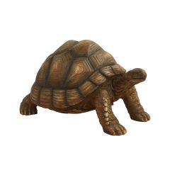 Tortoise