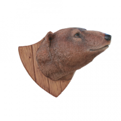 Grizzly bear Trophy head