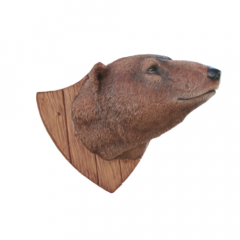 Grizzly Bear Trophy head