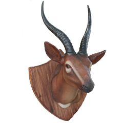 Gazelle Trophy head