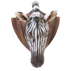 Zebra Trophy head