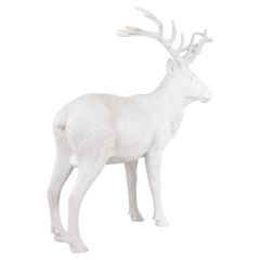 White Stag